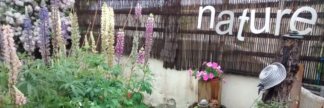 GardenIreland's profile banner image