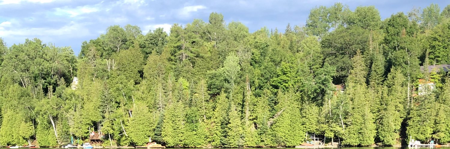 Louise Chatterton, EdD banner