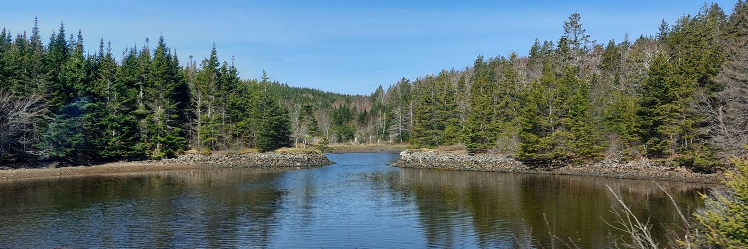 Compassion is Free banner