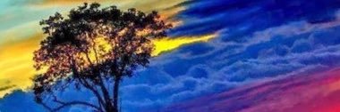 urbanicolas's profile banner image