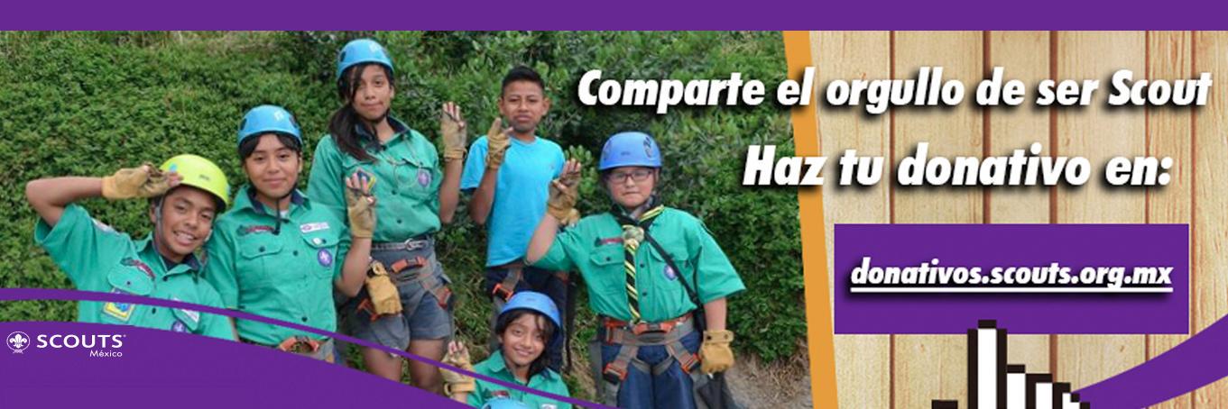 ScoutsES's profile banner image