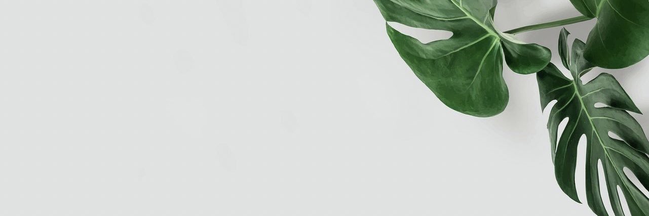 Lama__dz's profile banner image