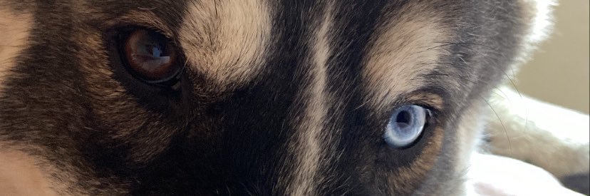 cgarmijos's profile banner image