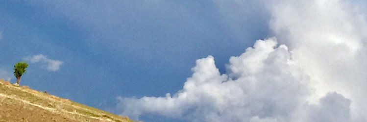 itsdarkroz's profile banner image