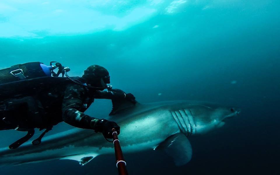 @africanwatersports banner