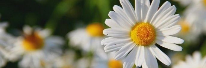 AsurmendiSol's profile banner image