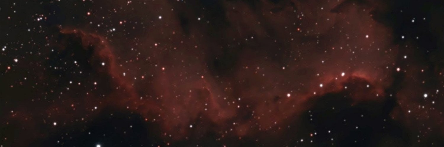 RedandRead12345's profile banner image