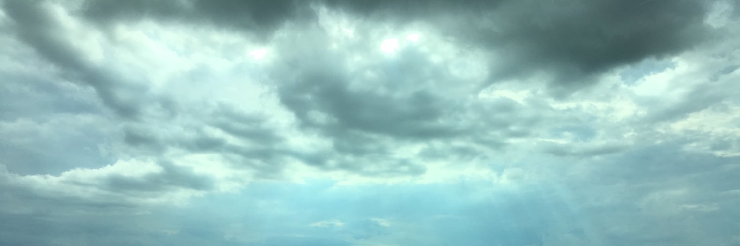 sp_DragonShell's profile banner image