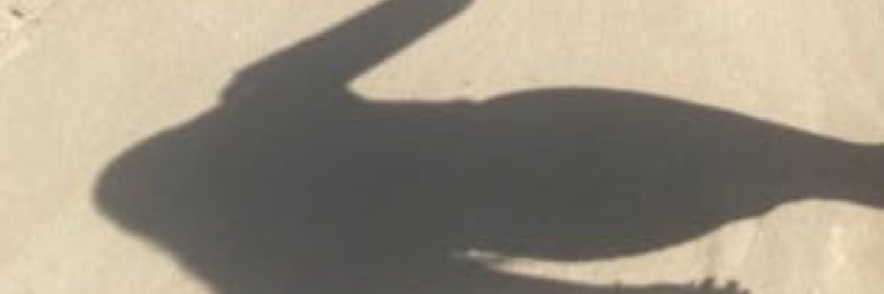 yasmim_iae's profile banner image
