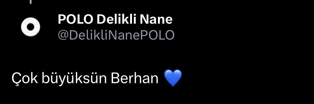 berhan banner