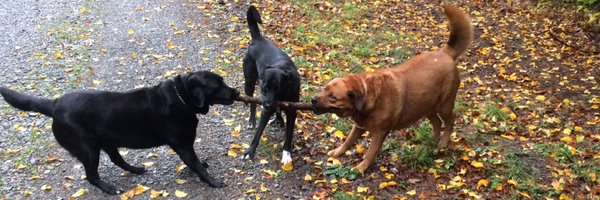 paulloermans Profile Banner