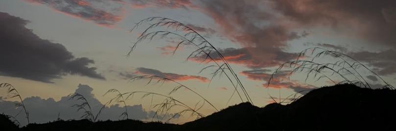 SherEscolche's profile banner image