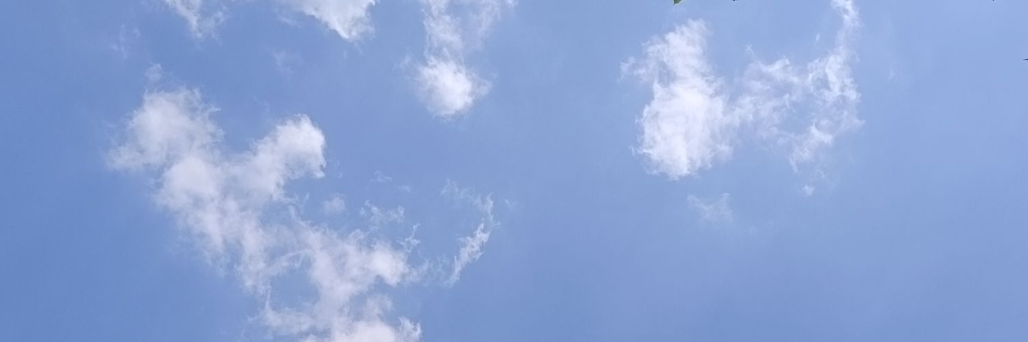 Sal banner