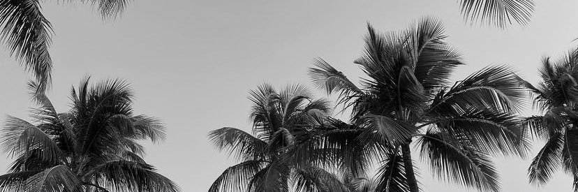 Marie__NC's profile banner image