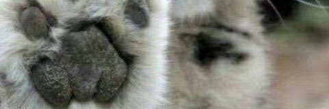 GZ0402's profile banner image