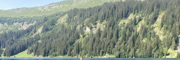 LeilaTarokh Profile Banner