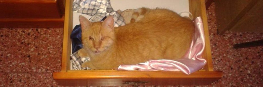 Jorge Murdock banner