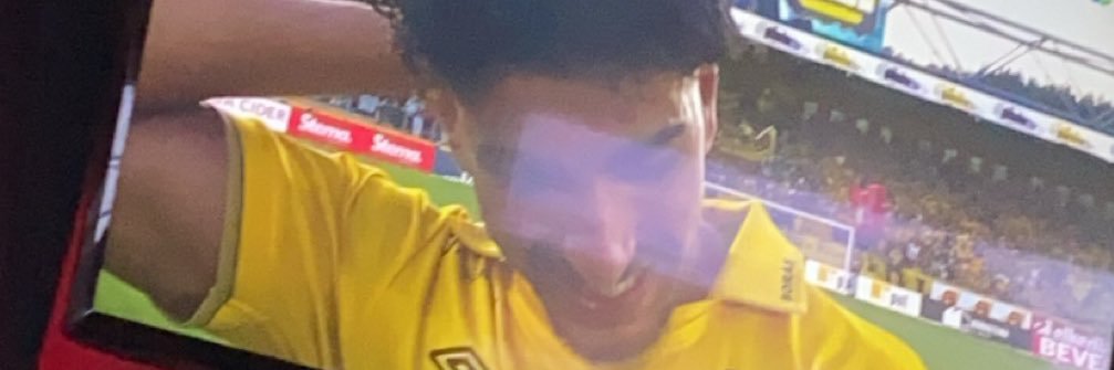 William Karlsson banner