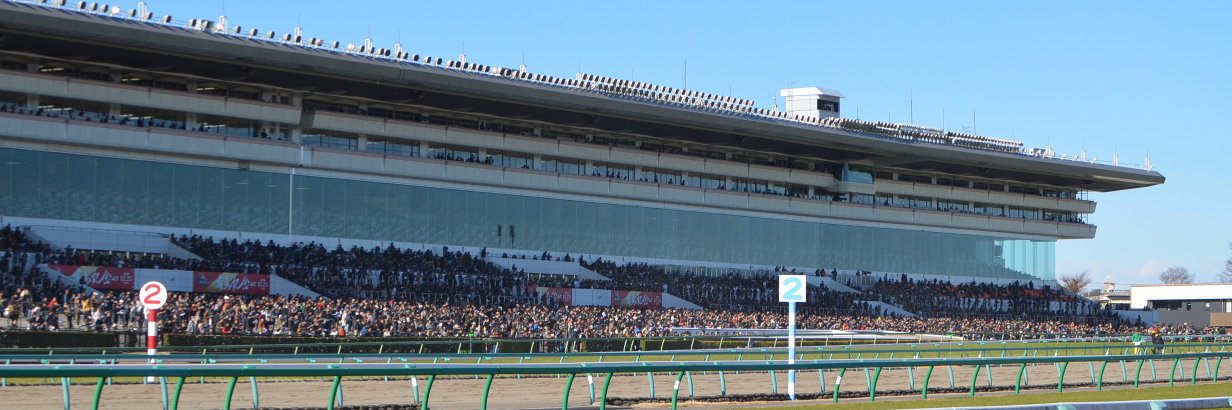 ittai173's profile banner image