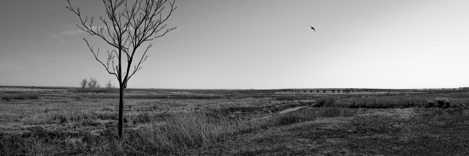 jhdemicco's profile banner image