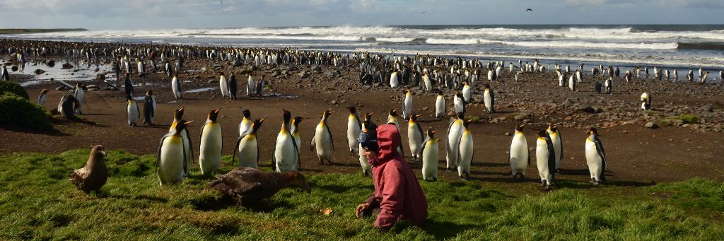 Alice Carravieri banner