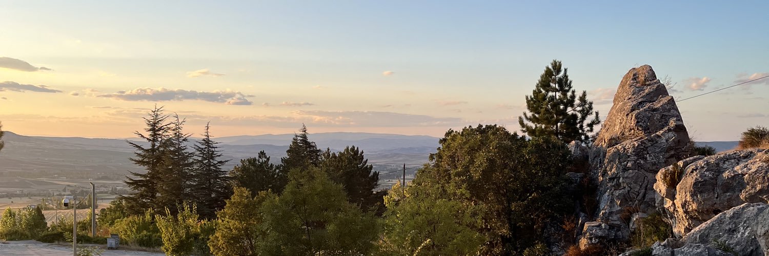 Katharine Shields banner