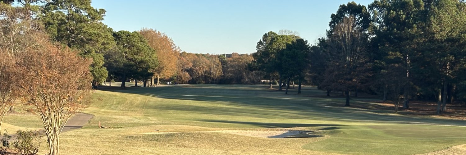 Michelle Meadows banner