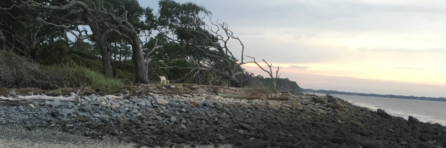 MaePogue's profile banner image