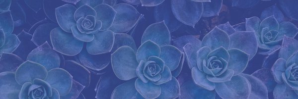 HigherEdPR Profile Banner