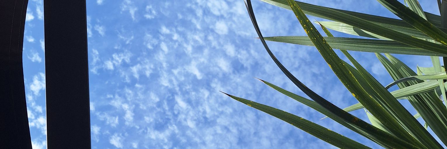 expartaku's profile banner image