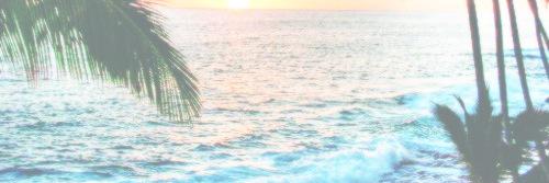maddybroown's profile banner image
