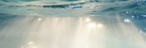 xneedthem's profile banner image