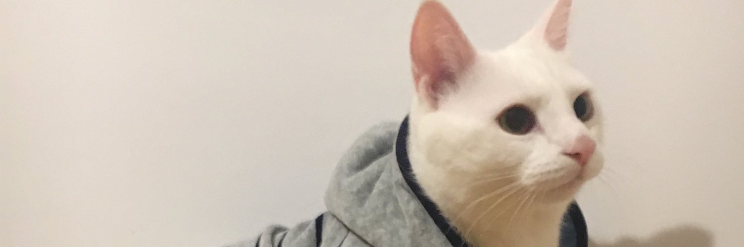 elifhoca's profile banner image
