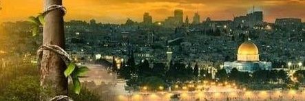 salbh25's profile banner image