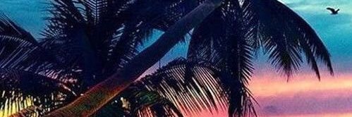 movimientoclean's profile banner image