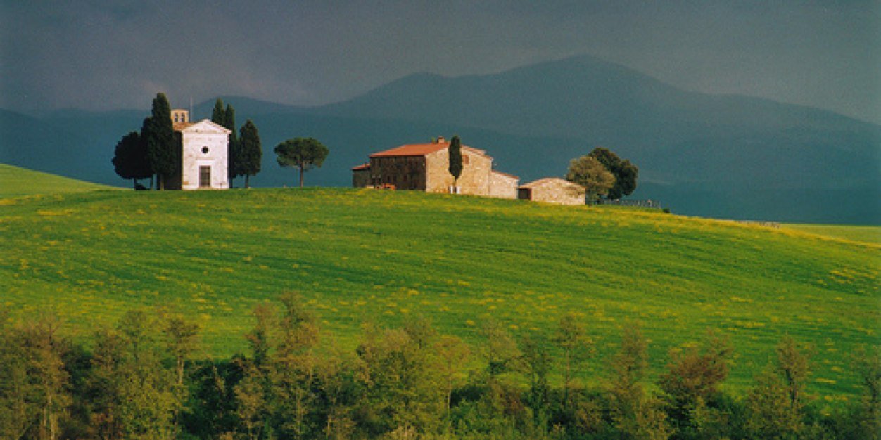robertorappuoli's profile banner image