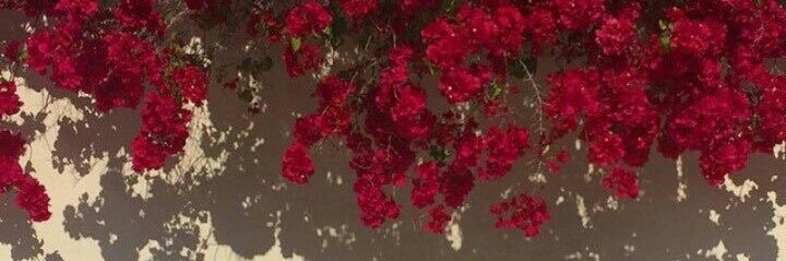 fro7h506's profile banner image
