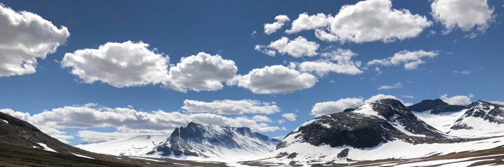 LsNicklas's profile banner image