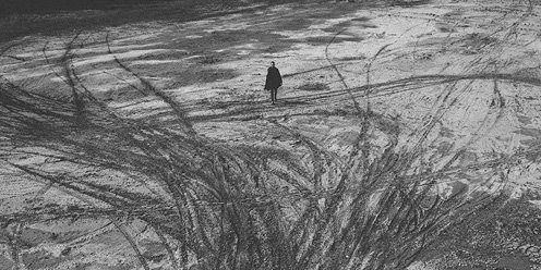 YearInTheWild's profile banner image