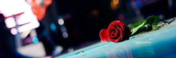 lolo1417 banner