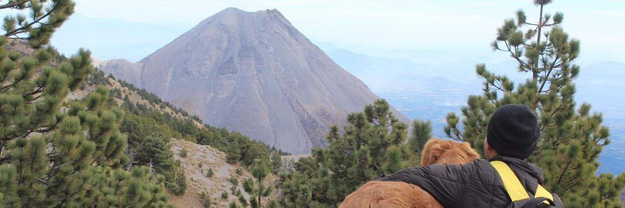 charly_ayala's profile banner image