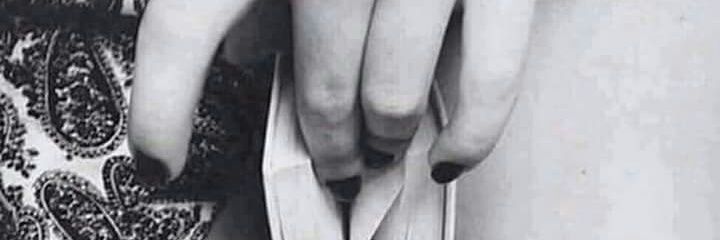 Pelidicarota's profile banner image