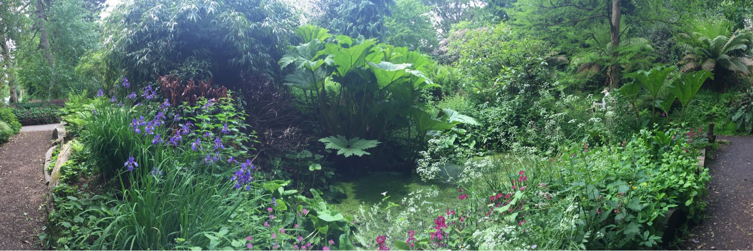 Fern Williams banner