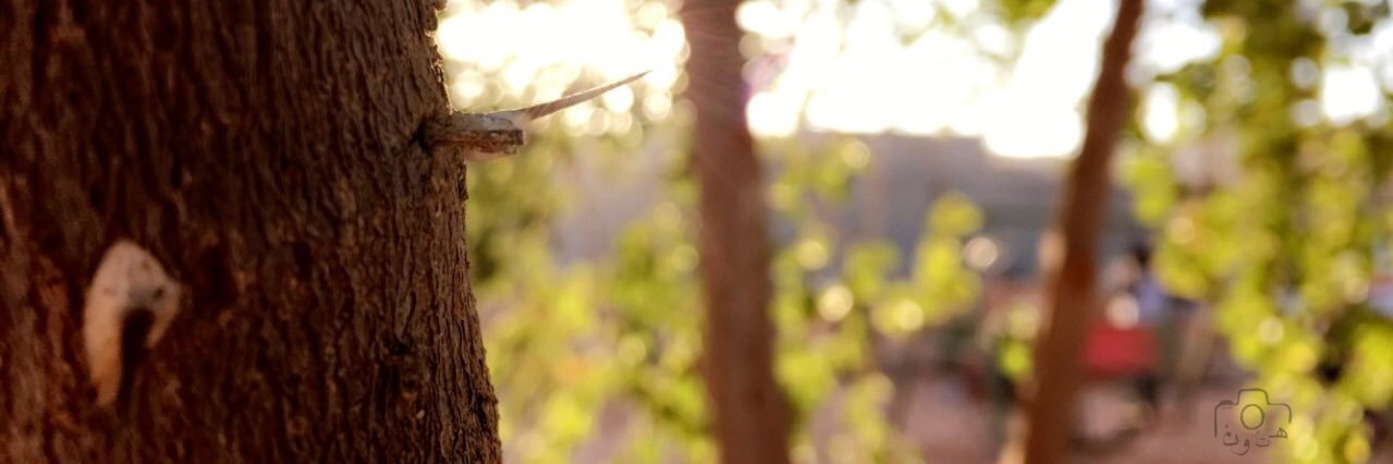 mhbh2's profile banner image