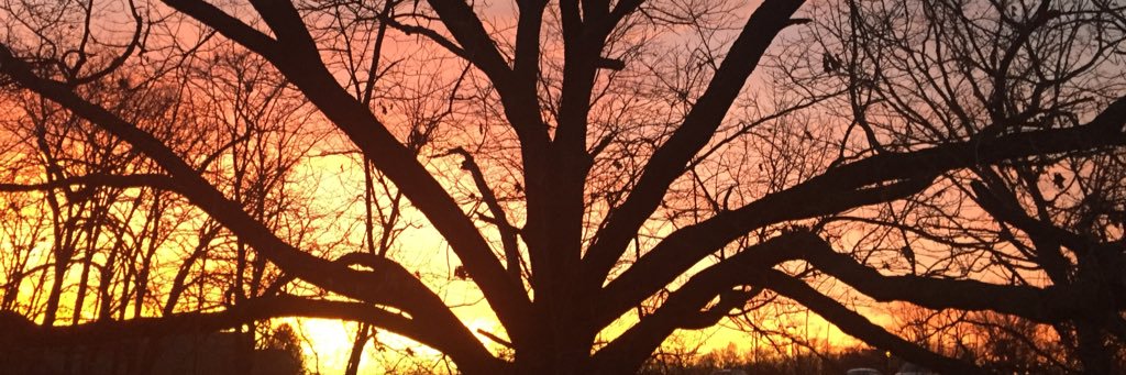 PKlepper1's profile banner image