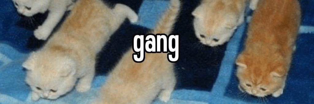 Squatcholio's profile banner image