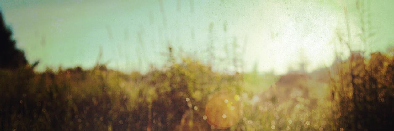 gpcofc's profile banner image