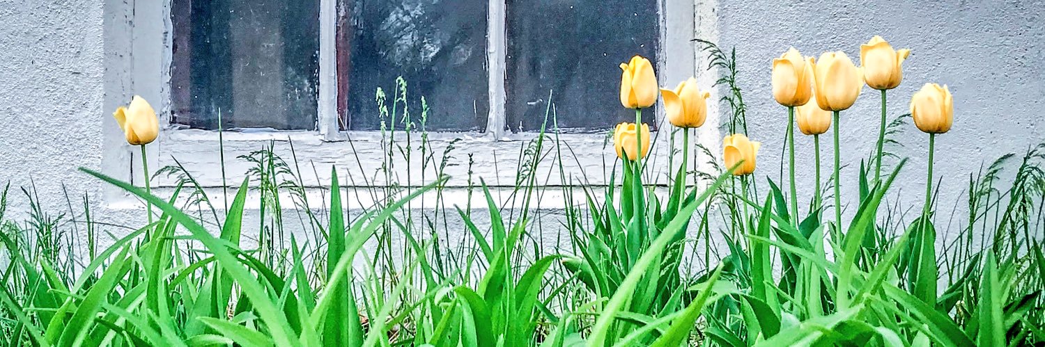 Heidi Bargmann banner