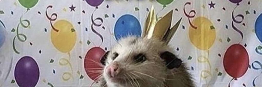jerricahidy's profile banner image