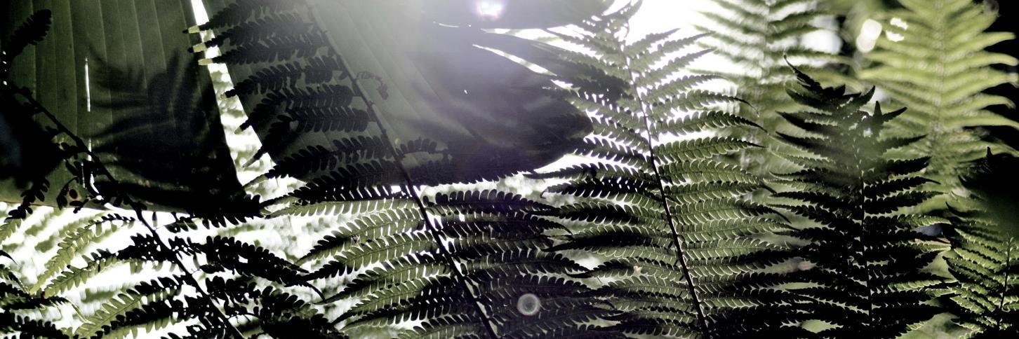 auniquevision's profile banner image